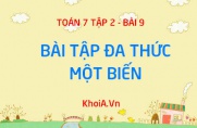 Bài tập nghiệm của đa thức một biến: Bài tập 54, 55, 56 trang 48 SGK Toán 7 tập 2 bài 9